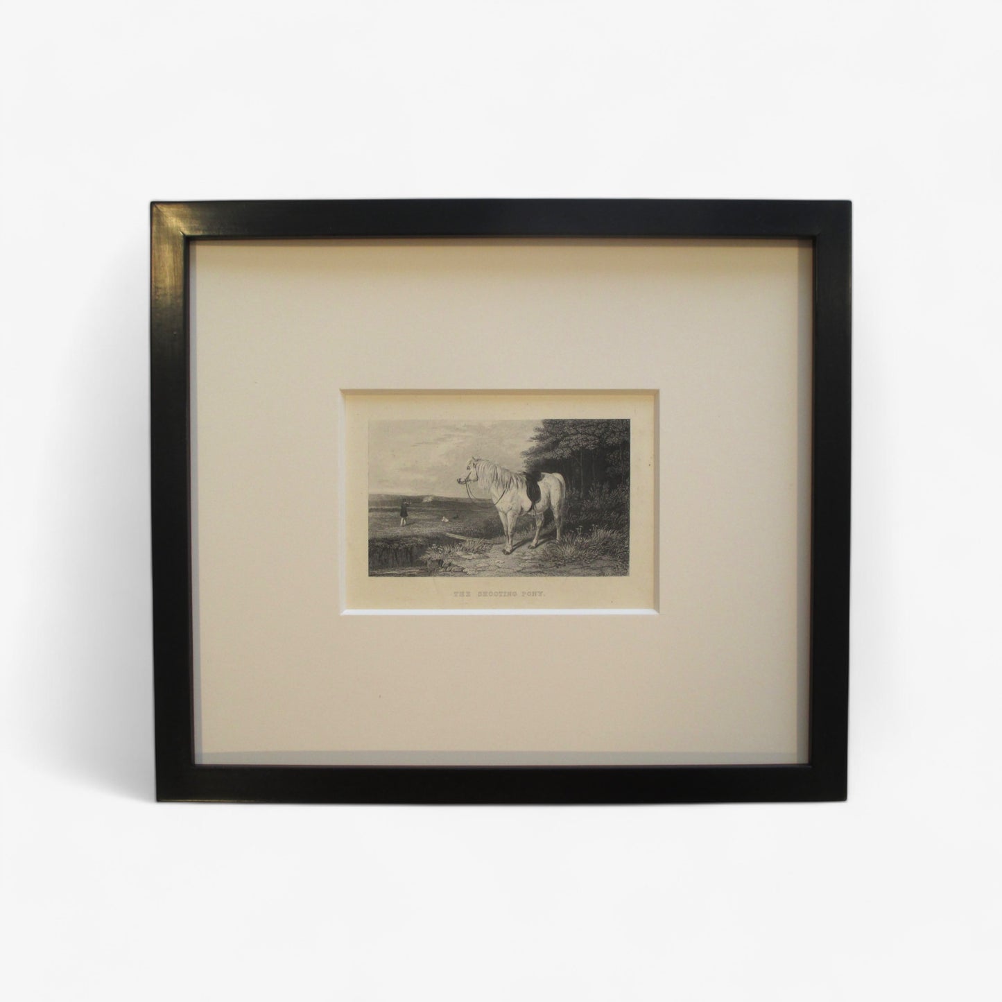John Sherer: The Shooting Pony from 'Rural Life'