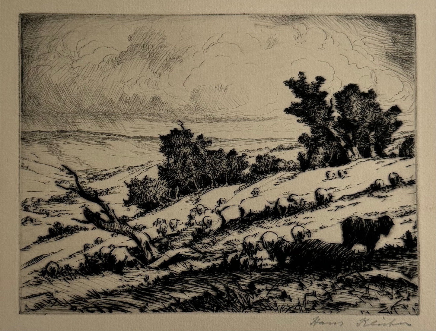 Hans Kleiber: Livestock on the Hill