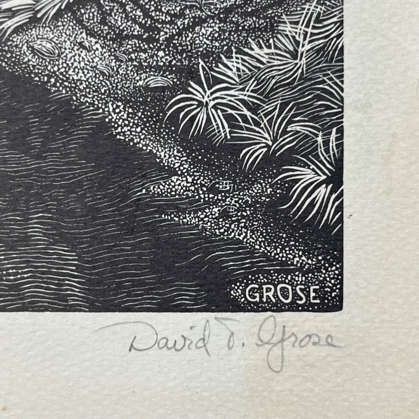 David Grose: Steve Hall's House