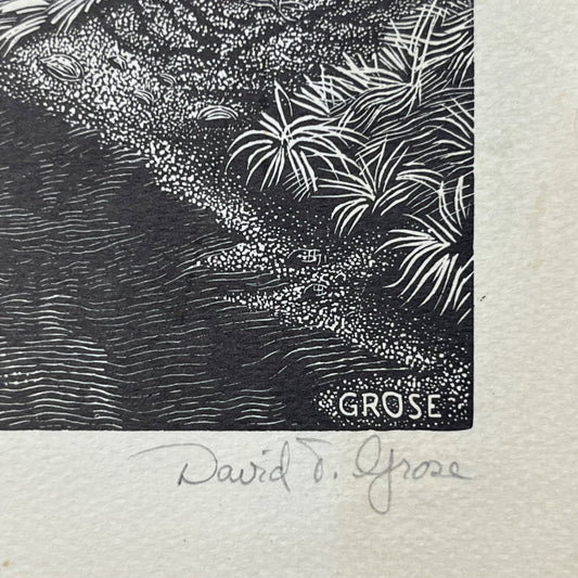 David Grose: Steve Hall's House