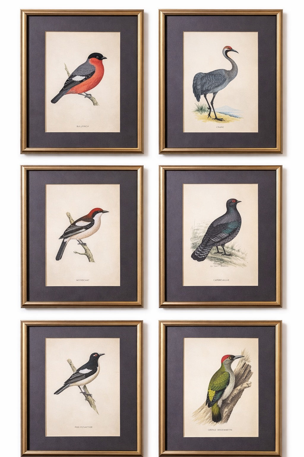 Alexander Francis Lydon: Hand Colored Woodcut Print Set of 9