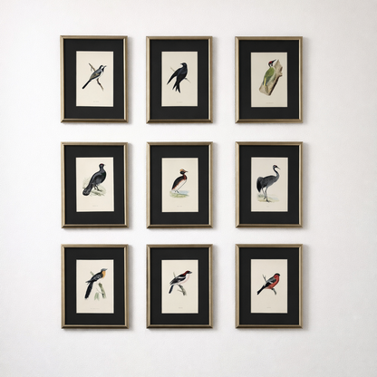 Alexander Francis Lydon: Hand Colored Woodcut Print Set of 9