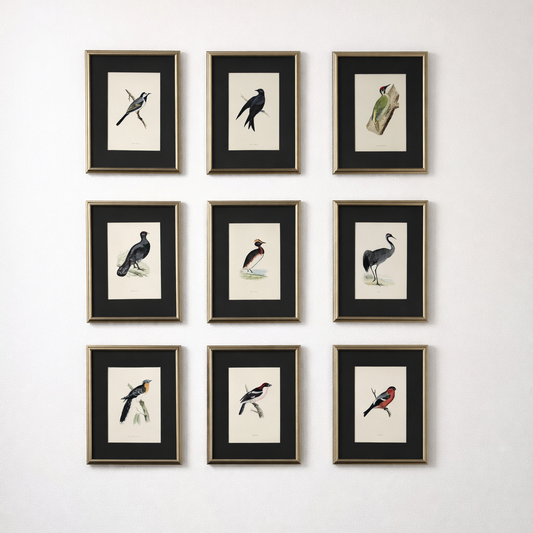 Alexander Francis Lydon: Hand Colored Woodcut Print Set of 9