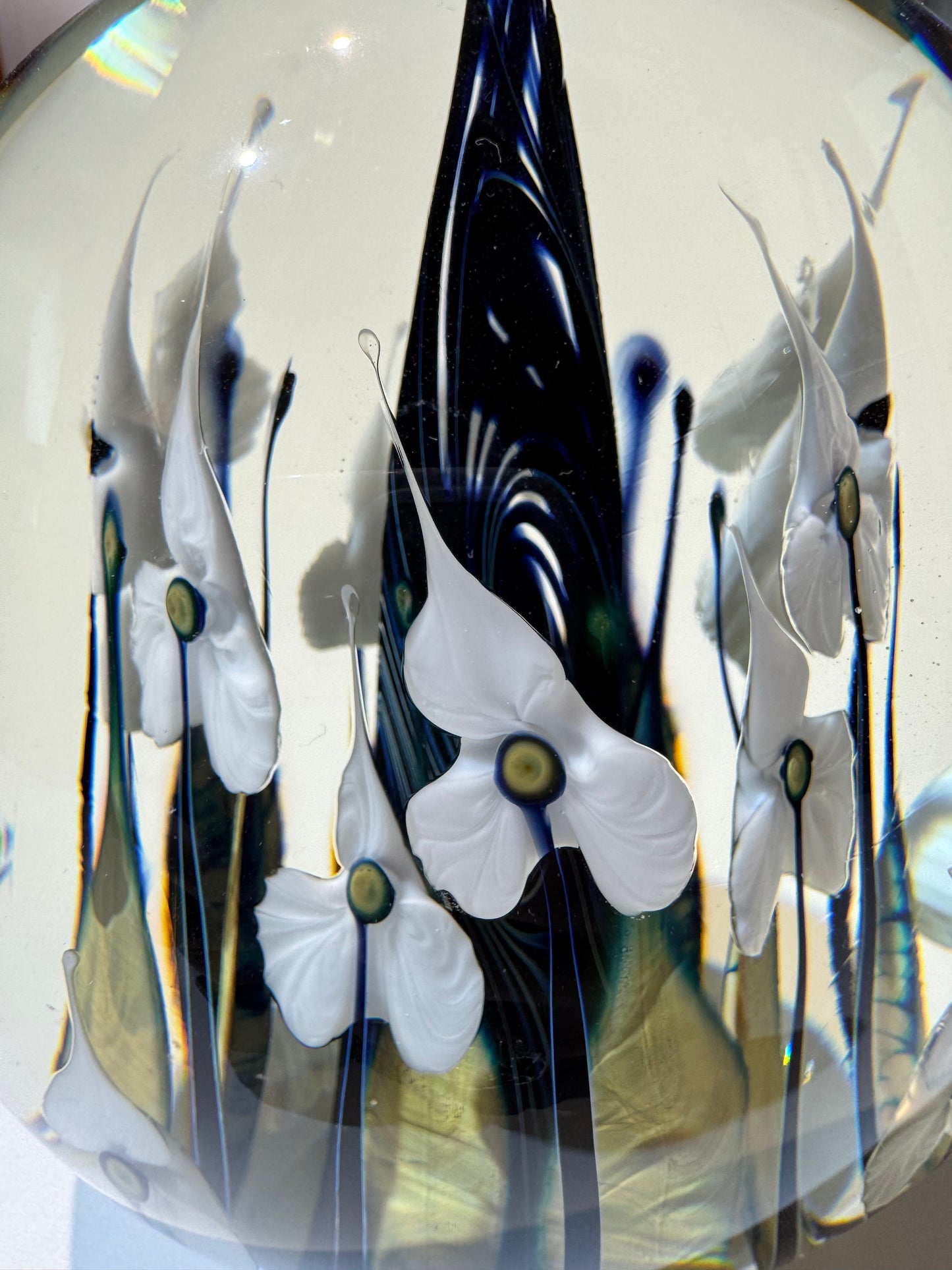 Lotton Glass