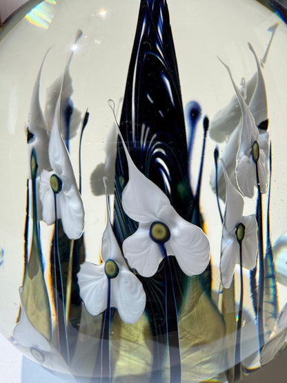 Lotton Glass
