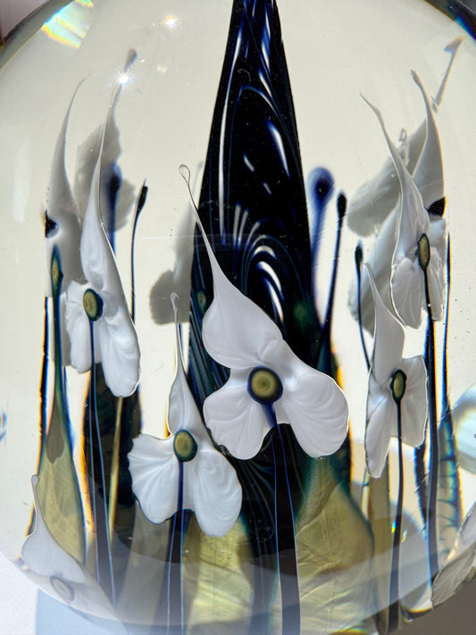 Lotton Glass