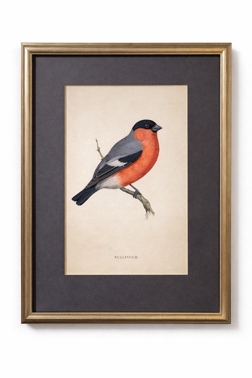 Alexander Francis Lydon: Hand Colored Woodcut Print Set of 9