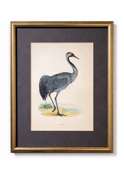 Alexander Francis Lydon: Hand Colored Woodcut Print Set of 9