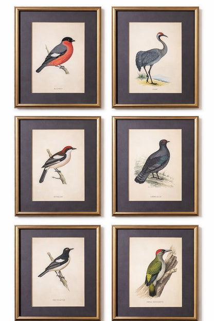 Alexander Francis Lydon: Hand Colored Woodcut Print Set of 9
